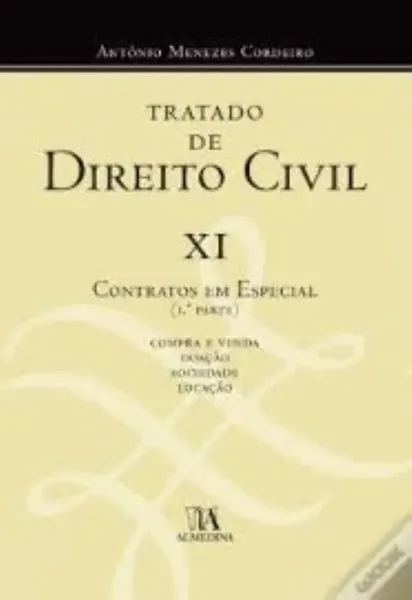 Imagem de Tratado de Direito Civil XI