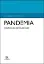 Imagem de Pandemia - A Resiliência do Sistema de Saúde